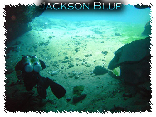 Jackson Blue